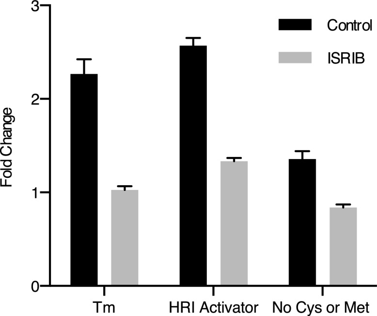 Figure 3—figure supplement 7.