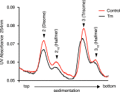 Figure 3—figure supplement 5.
