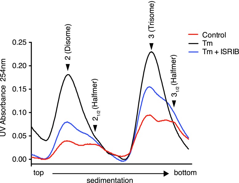 Figure 3—figure supplement 4.