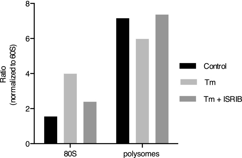 Figure 3—figure supplement 3.