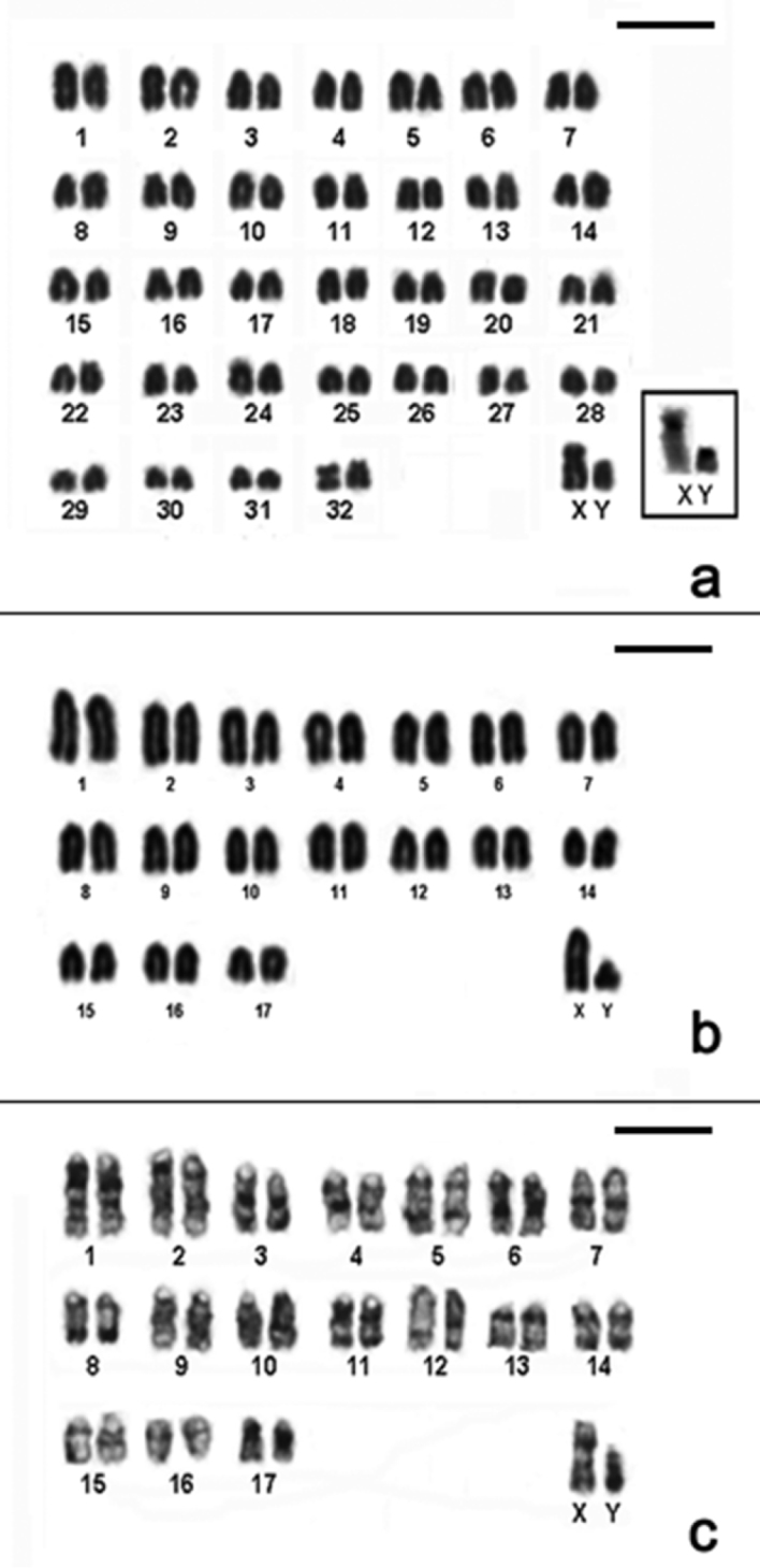 Figure 6.