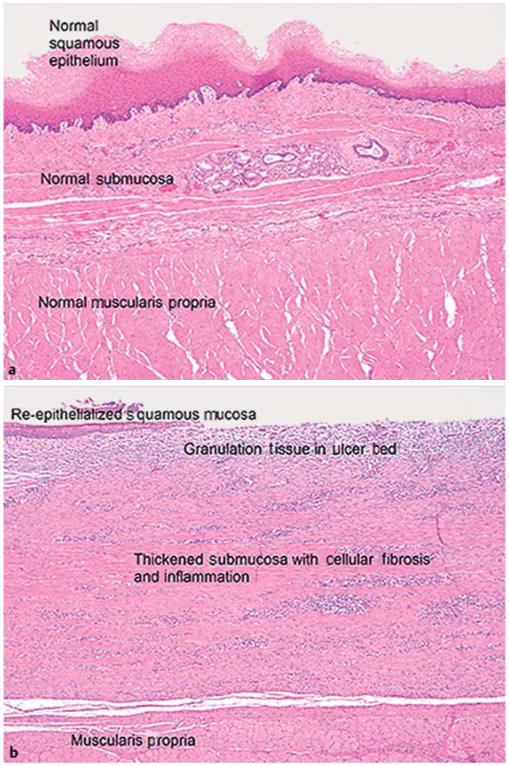 Fig.4