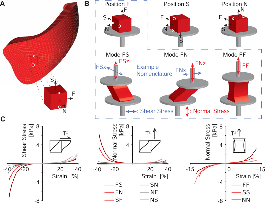 Figure 1: