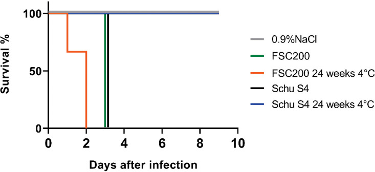 FIG 4