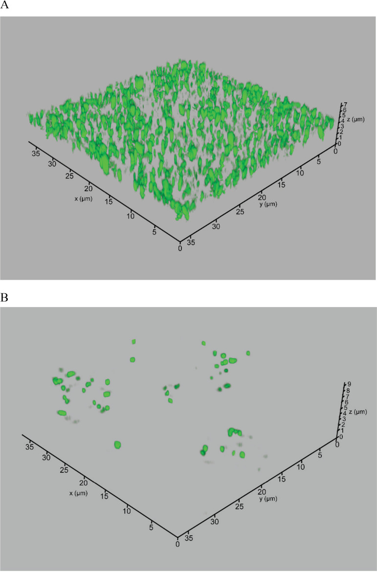 FIG 2