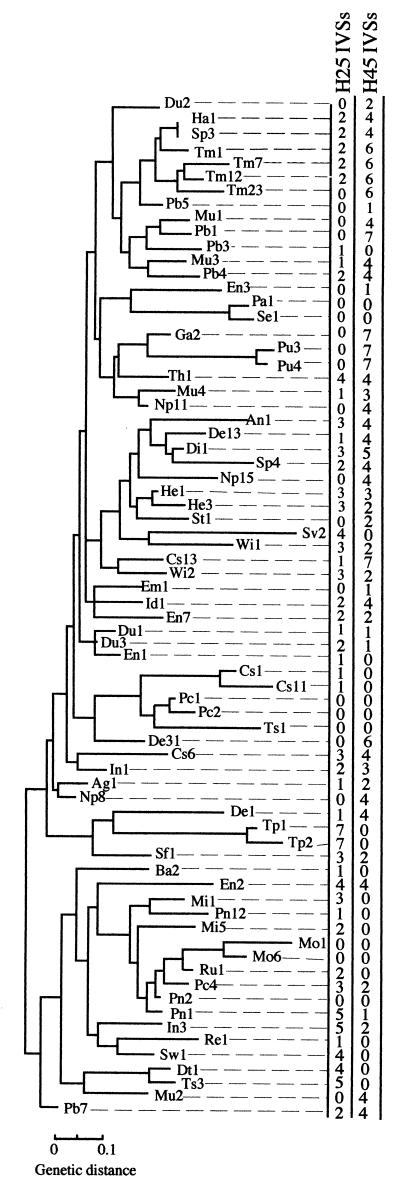 FIG. 3