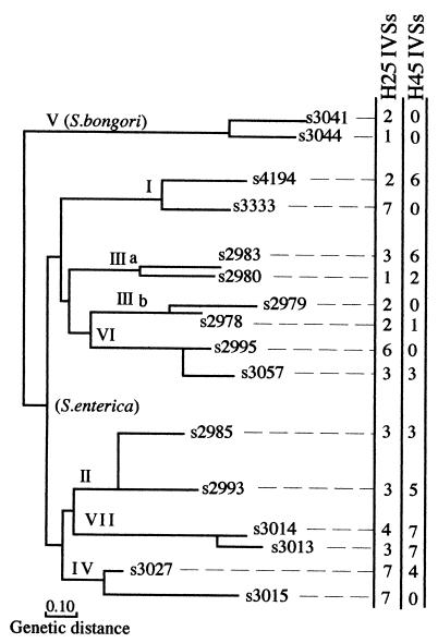 FIG. 4