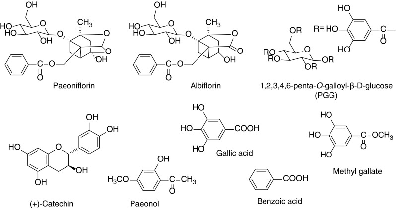 Fig. 1