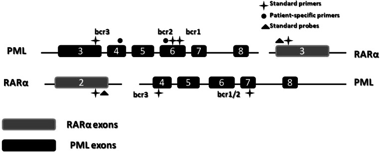 Fig. 1