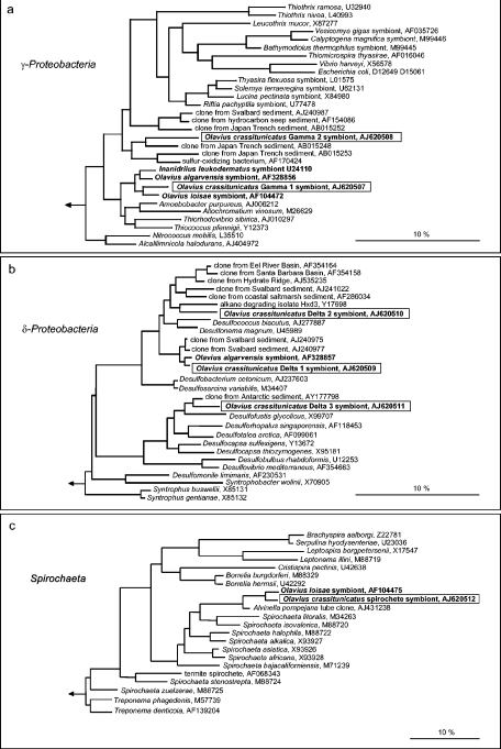 FIG.2.