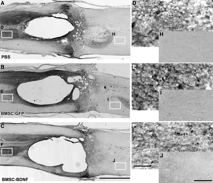 FIG. 10.