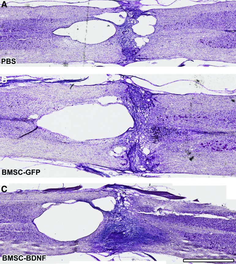 FIG. 7.