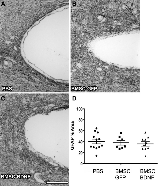 FIG. 9.