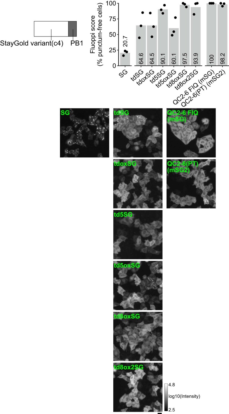 Extended Data Fig. 5