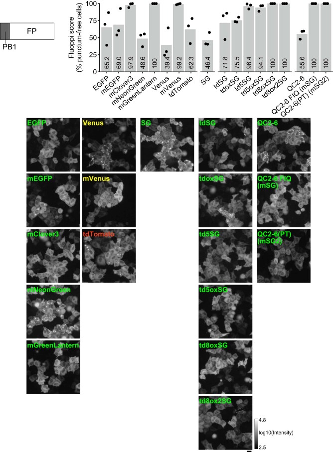 Extended Data Fig. 2