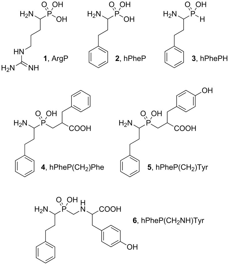 Fig. 5