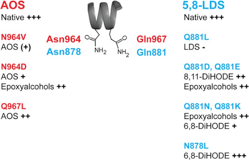 FIGURE 9.