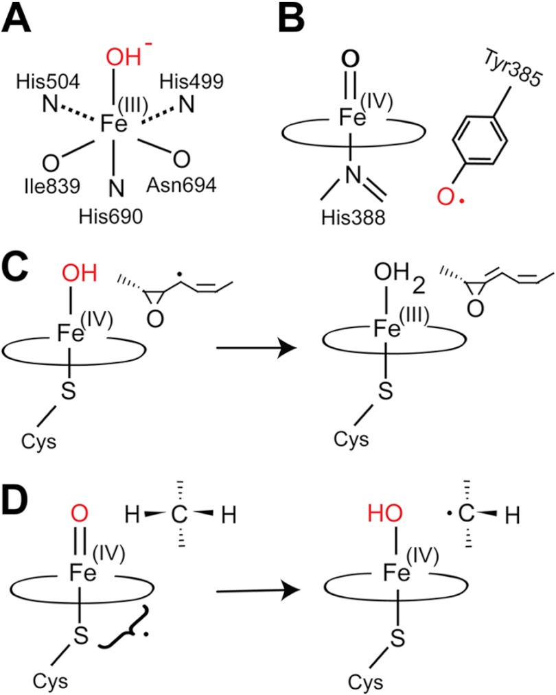 FIGURE 1.