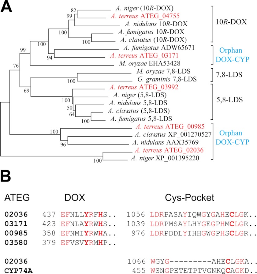 FIGURE 2.