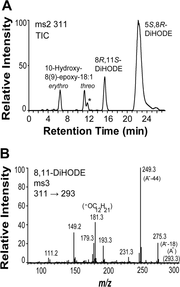 FIGURE 4.