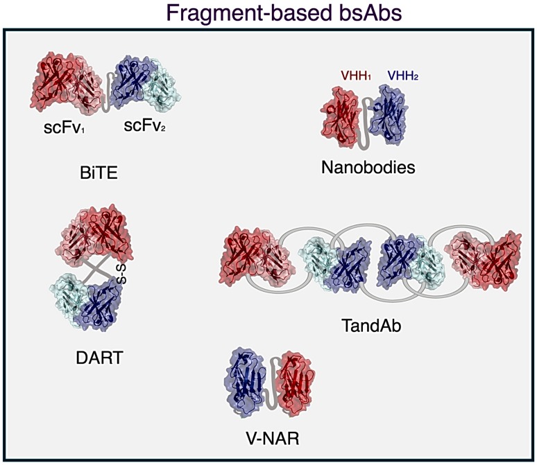 Fig. 2