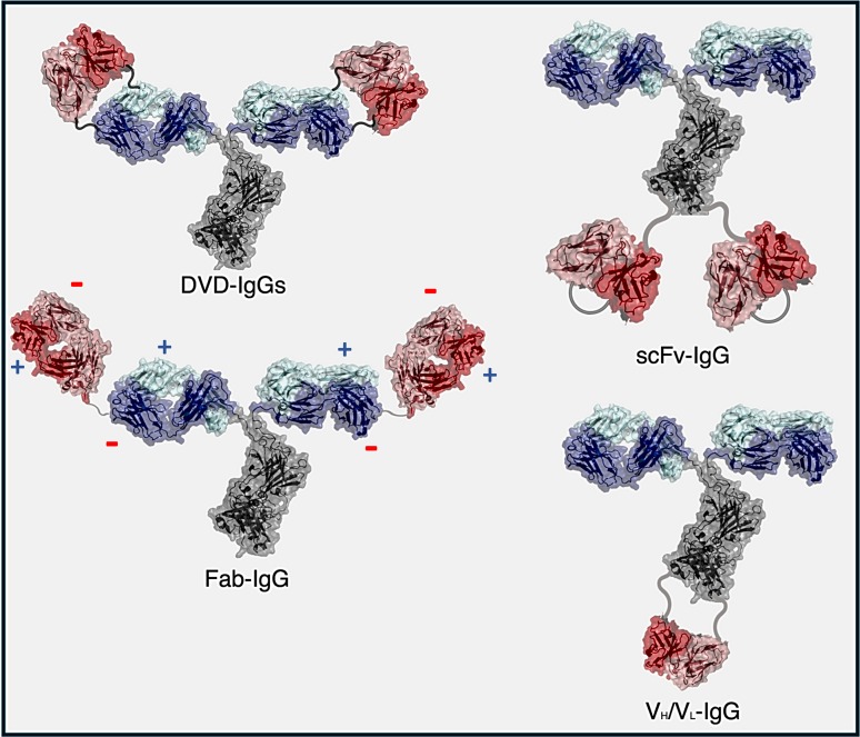 Fig. 3