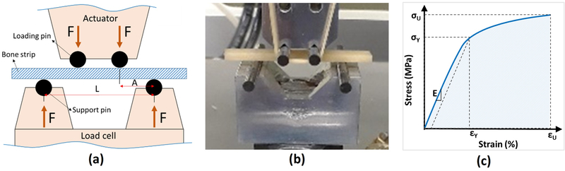 Figure 1: