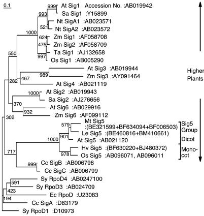 Fig. 5.