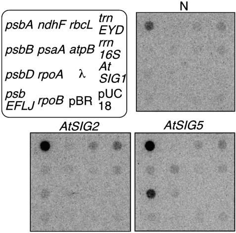 Fig. 3.