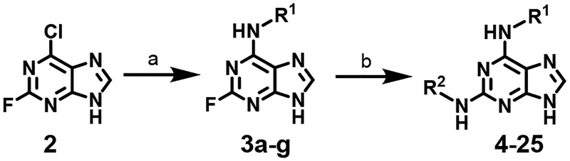 Scheme 1.