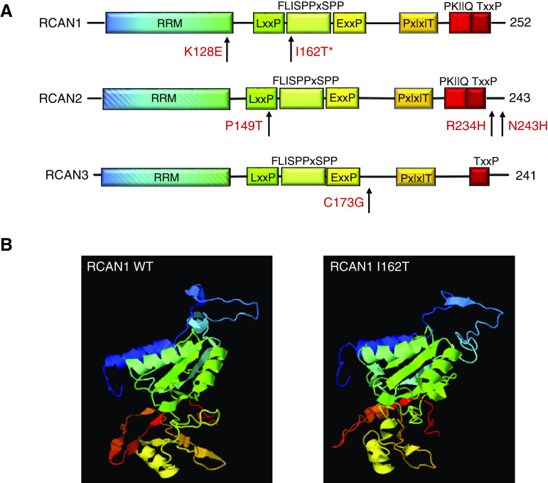 Figure 2.