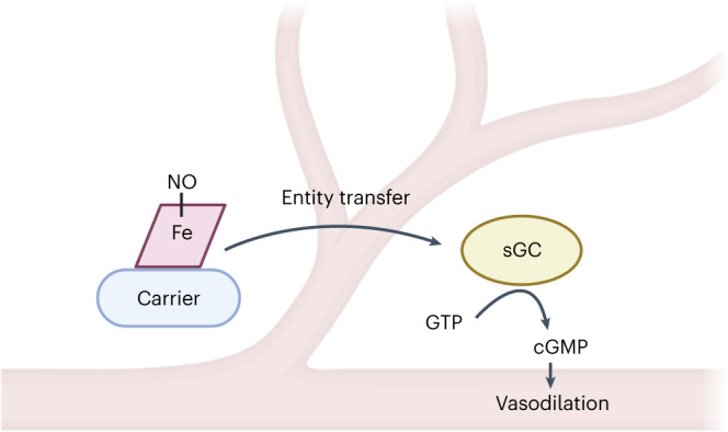 graphic file with name 41589_2023_1411_Figa_HTML.jpg