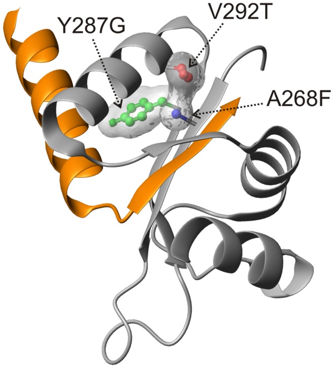 Figure 6