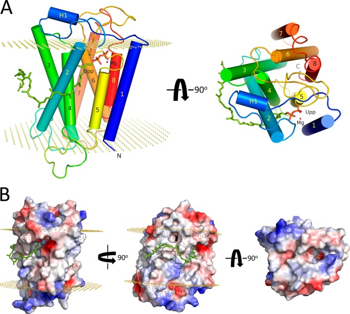 FIGURE 7.