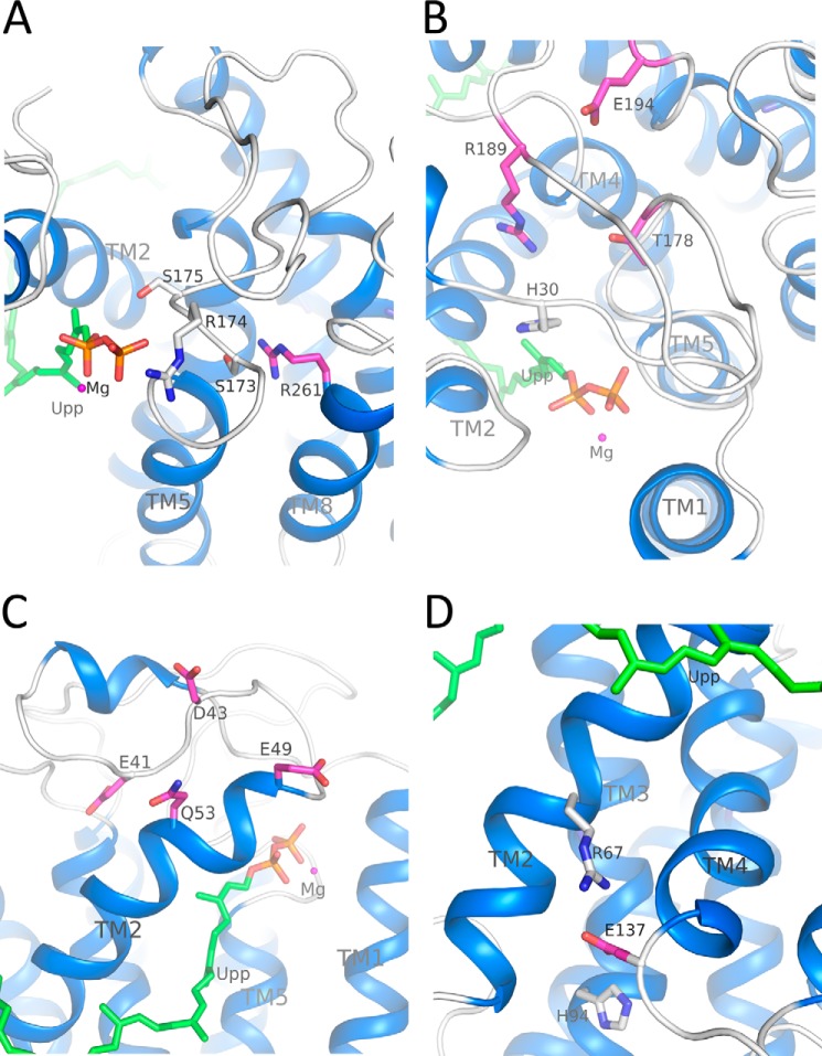 FIGURE 9.