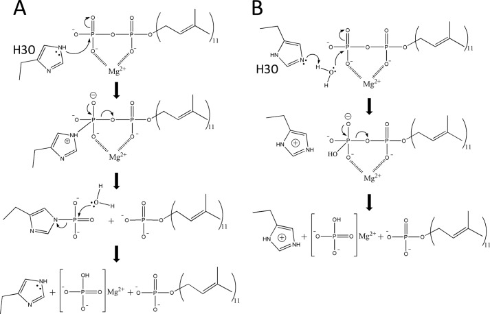 FIGURE 11.