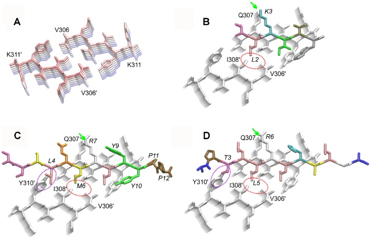 Fig 6