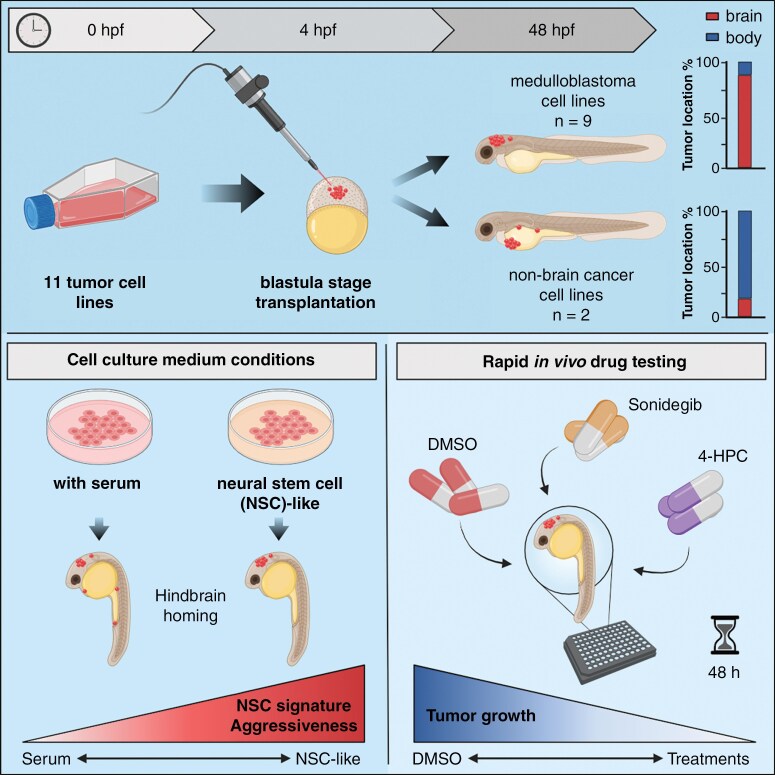Graphical Abstract
