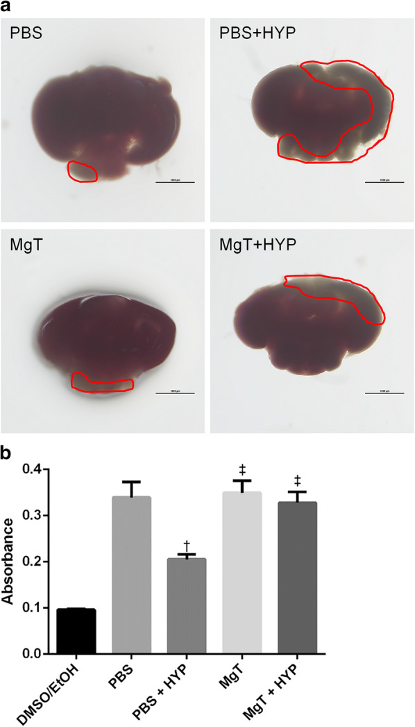 Fig. 6