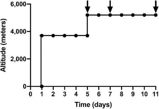 FIGURE 1