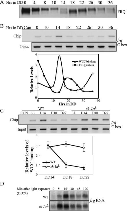 Figure 6.