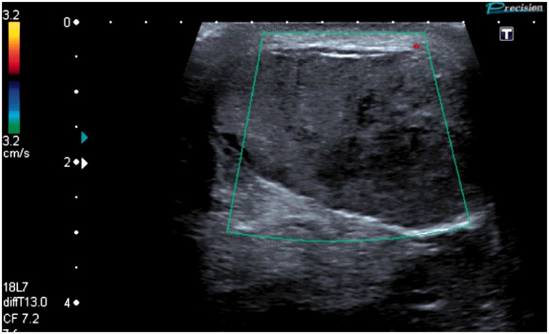 Figure 9