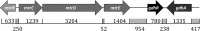 FIG 1
