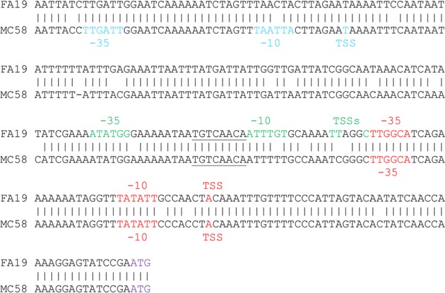 FIG 6 