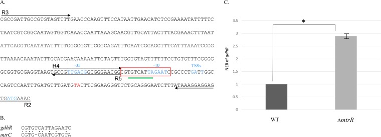 FIG 3 