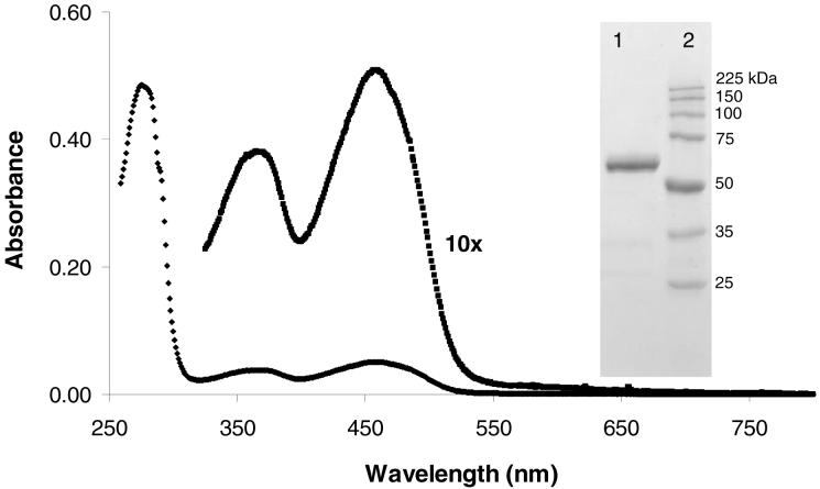 FIGURE 4