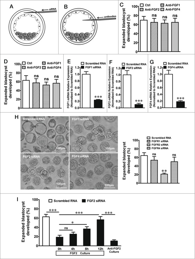 Figure 1 (See previous page).