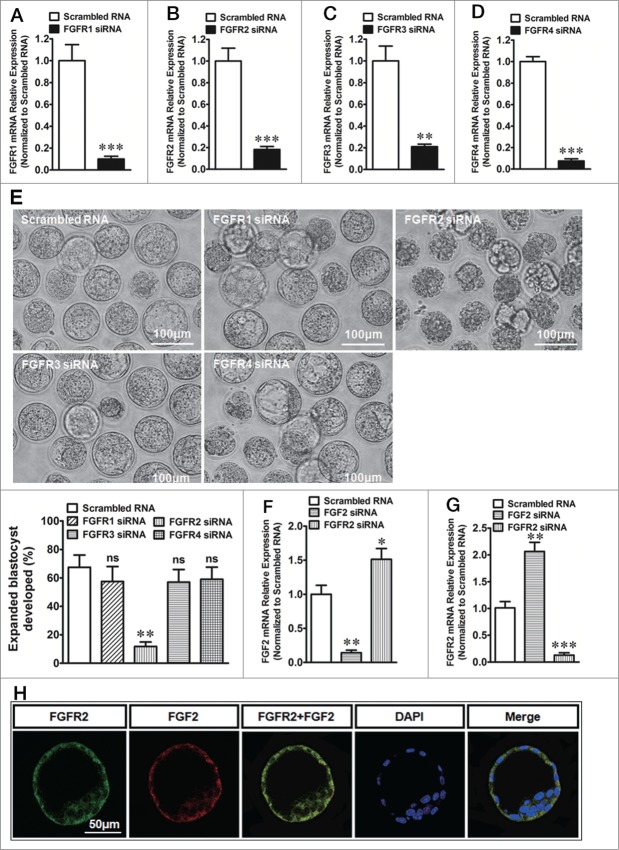 Figure 2 (See previous page).