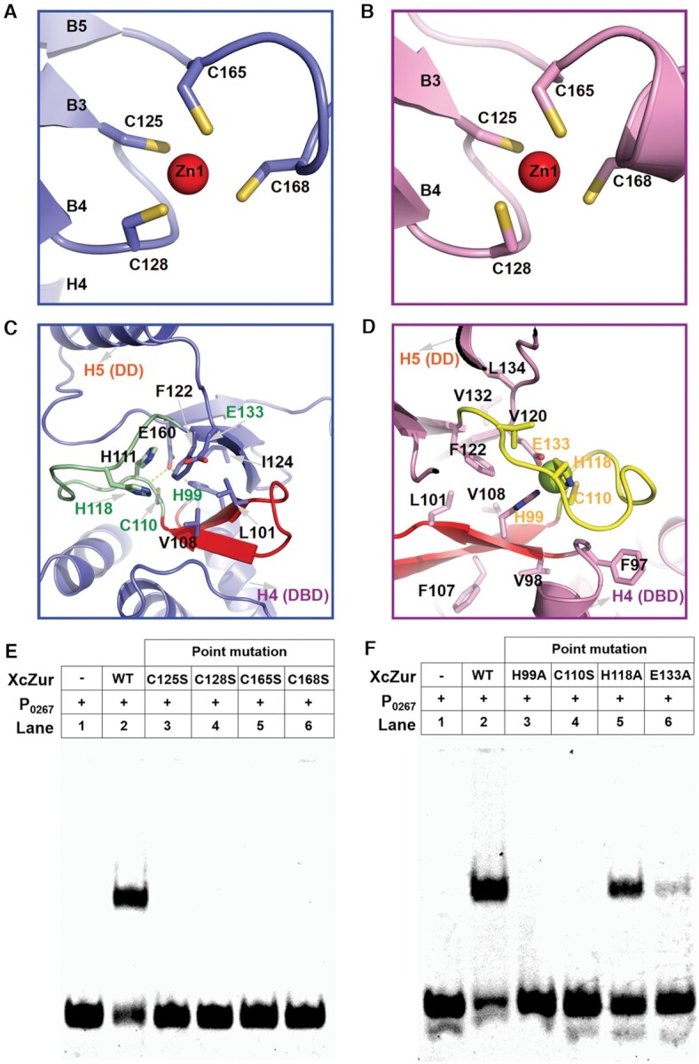 Figure 5.