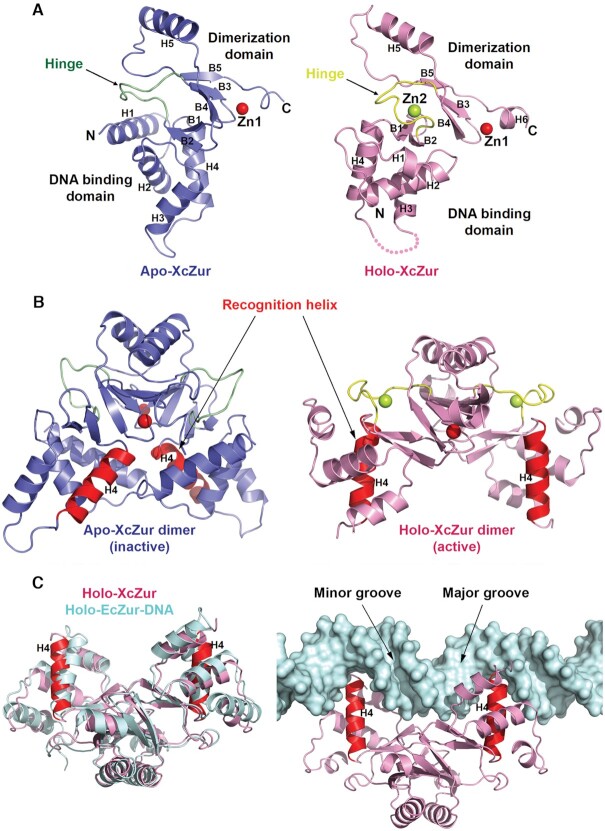 Figure 3.